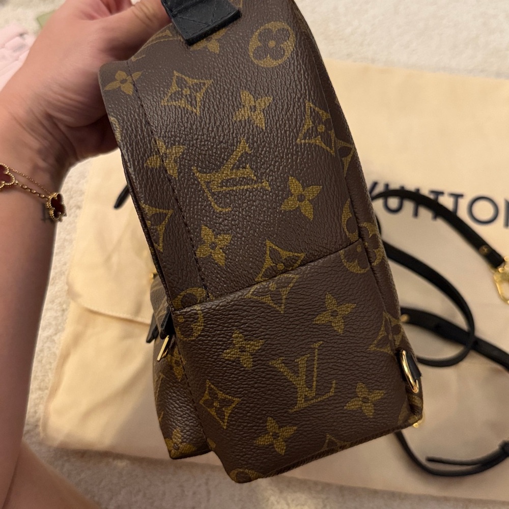 Louis Vuitton M44873 Palm Springs Mini - Picture 10 of 13